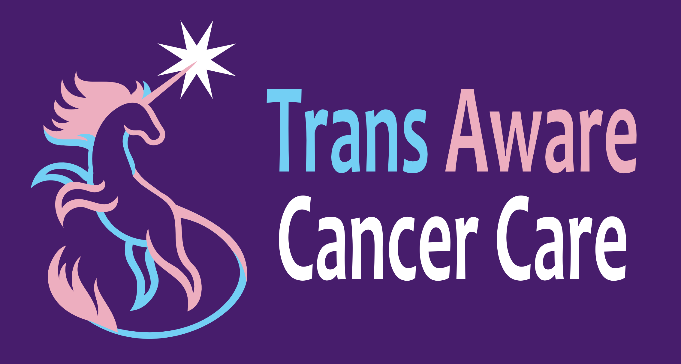 Trans Aware Cancer Care: My reflections on the first workshop
