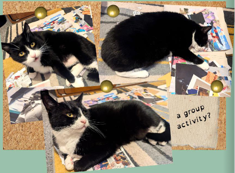 Insights from TNBI Mental Health Research Workshop